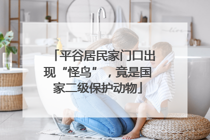 平谷居民家门口出现“怪鸟”，竟是国家二级保护动物