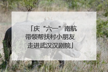 庆“六一”南航带领帮扶村小朋友走进武汉汉剧院