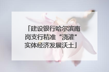 建设银行哈尔滨南岗支行精准“浇灌”实体经济发展沃土