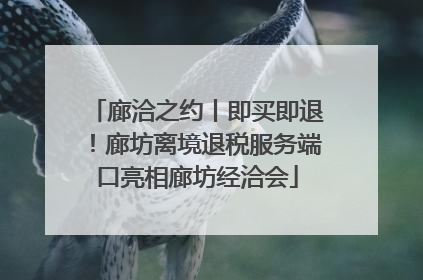 廊洽之约丨即买即退！廊坊离境退税服务端口亮相廊坊经洽会