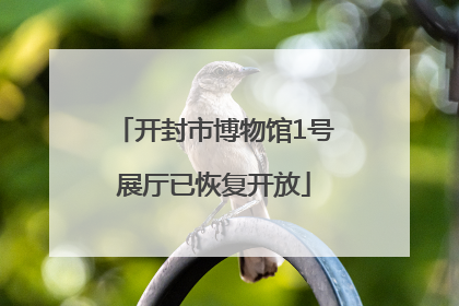 开封市博物馆1号展厅已恢复开放