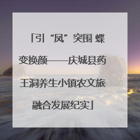 引“凤”突围 蝶变换颜——庆城县药王洞养生小镇农文旅融合发展纪实