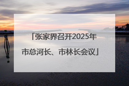张家界召开2025年市总河长、市林长会议