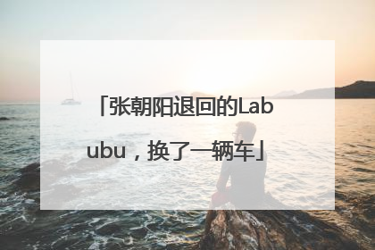 张朝阳退回的Labubu，换了一辆车