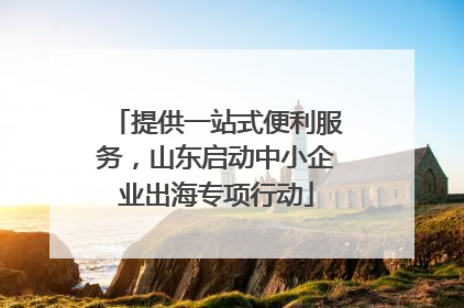 提供一站式便利服务，山东启动中小企业出海专项行动