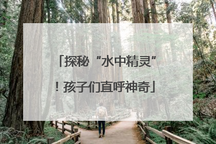 探秘“水中精灵”！孩子们直呼神奇