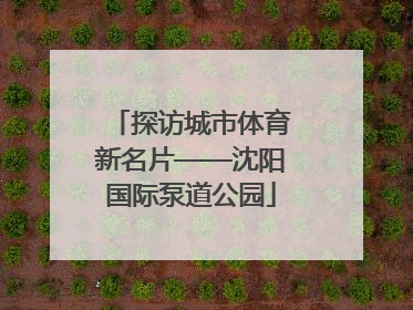 探访城市体育新名片——沈阳国际泵道公园