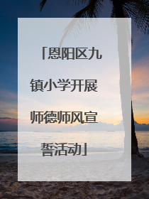 恩阳区九镇小学开展师德师风宣誓活动