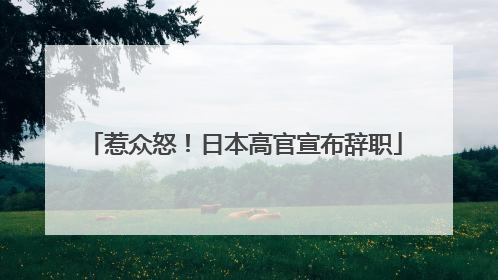 惹众怒！日本高官宣布辞职