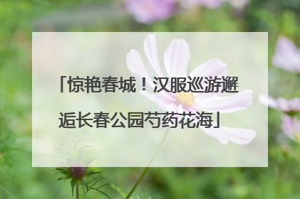 惊艳春城！汉服巡游邂逅长春公园芍药花海