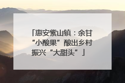 惠安紫山镇：余甘“小酸果”酿出乡村振兴“大甜头”
