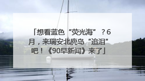 想看蓝色“荧光海”？6月，来瑞安北麂岛“追泪”吧！《90早新闻》来了