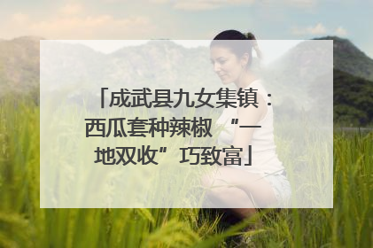 成武县九女集镇：西瓜套种辣椒 “一地双收”巧致富