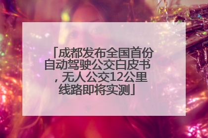成都发布全国首份自动驾驶公交白皮书，无人公交12公里线路即将实测