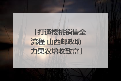 打通樱桃销售全流程 山西邮政助力果农增收致富