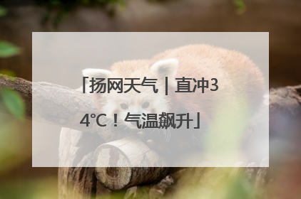 扬网天气｜直冲34℃！气温飙升