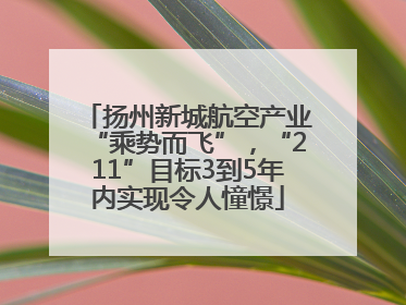 扬州新城航空产业“乘势而飞”，“211”目标3到5年内实现令人憧憬