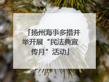 扬州海事多措并举开展“民法典宣传月”活动