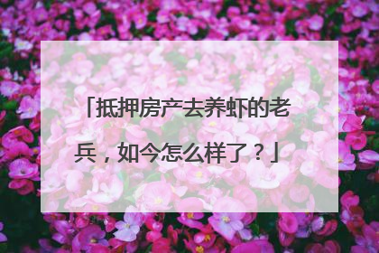 抵押房产去养虾的老兵，如今怎么样了？