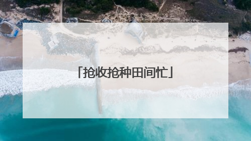 抢收抢种田间忙