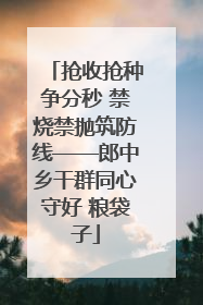 抢收抢种争分秒 禁烧禁抛筑防线——郎中乡干群同心守好 粮袋子