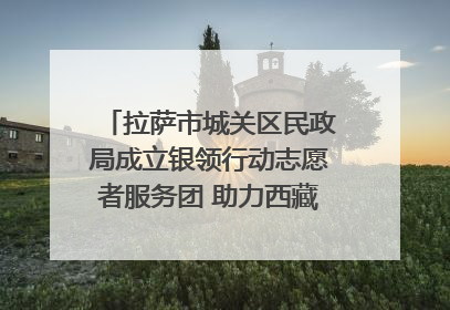 拉萨市城关区民政局成立银领行动志愿者服务团 助力西藏银发经济发展