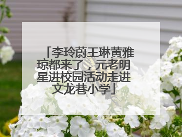 李玲蔚王琳黄雅琼都来了，元老明星进校园活动走进文龙巷小学