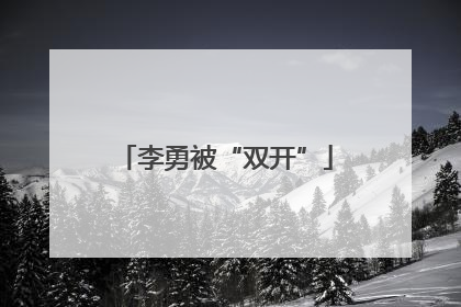 李勇被“双开”