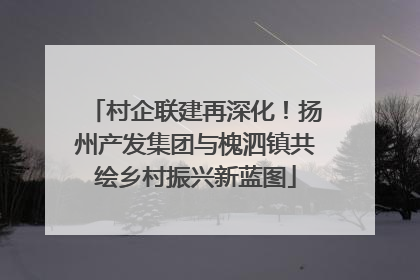 村企联建再深化！扬州产发集团与槐泗镇共绘乡村振兴新蓝图