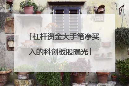 杠杆资金大手笔净买入的科创板股曝光