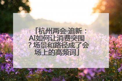 杭州两会·追新：AI如何让消费突围？场景和路径成了会场上的高频词
