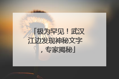 极为罕见！武汉江边发现神秘文字，专家揭秘