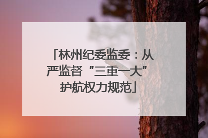 林州纪委监委：从严监督“三重一大” 护航权力规范
