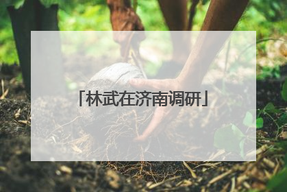 林武在济南调研