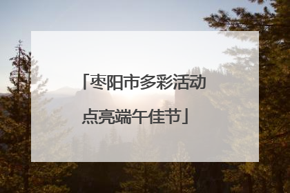 枣阳市多彩活动点亮端午佳节
