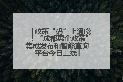 政策“码”上通晓！“成都惠企政策”集成发布和智能查询平台今日上线