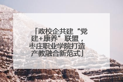 政校企共建“党建+康养”联盟，枣庄职业学院打造产教融合新范式