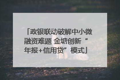 政银联动破解中小微融资难题 金塘创新“年报+信用贷”模式