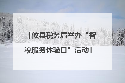 攸县税务局举办“智税服务体验日”活动