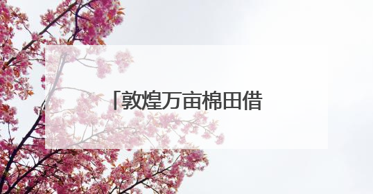 敦煌万亩棉田借北斗导航播种系统实现“精种”