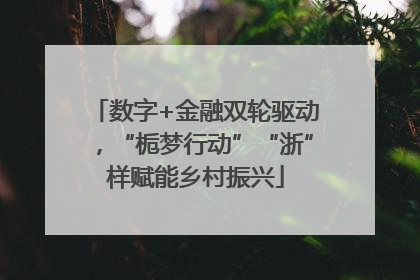 数字+金融双轮驱动，“栀梦行动”“浙”样赋能乡村振兴