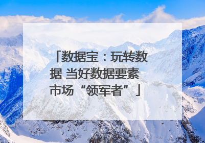 数据宝：玩转数据 当好数据要素市场“领军者”