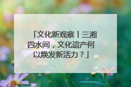 文化新观察丨三湘四水间，文化遗产何以焕发新活力？
