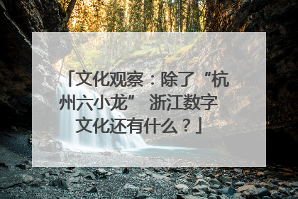 文化观察：除了“杭州六小龙” 浙江数字文化还有什么？