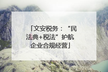 文安税务：“民法典+税法”护航企业合规经营