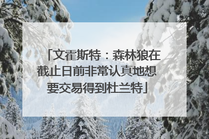 文霍斯特：森林狼在截止日前非常认真地想要交易得到杜兰特