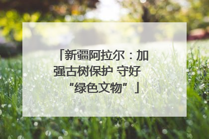 新疆阿拉尔：加强古树保护 守好“绿色文物”