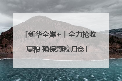 新华全媒+丨全力抢收夏粮 确保颗粒归仓