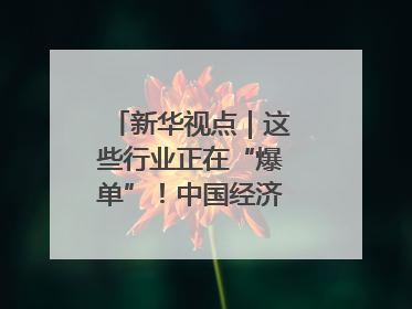 新华视点｜这些行业正在“爆单”！中国经济活力密码