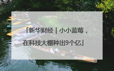 新华财经｜小小蓝莓，在科技大棚种出9个亿